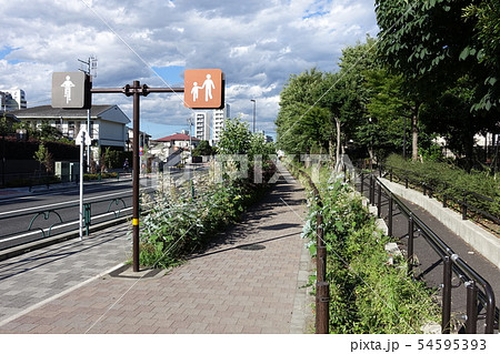 拡幅整備された千川通り (練馬区上石神井・関町南) 拡幅整備された千川通り (練馬区上石神井・関町南) 54595393