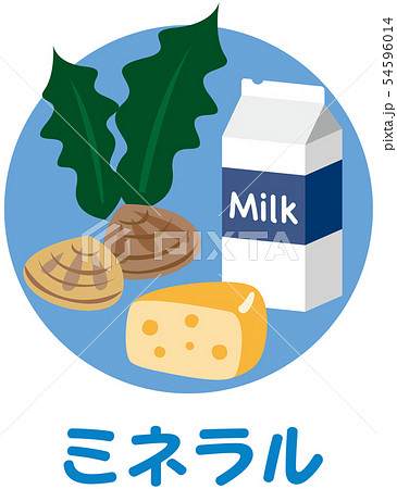 五大栄養素　ミネラル 54596014