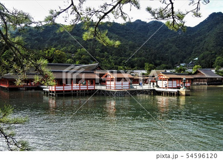 広島県の宮島厳島神社 広島県の宮島厳島神社 54596120
