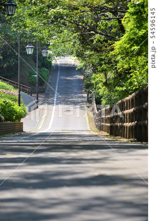くりはま花の国への道2 くりはま花の国への道2 54596145