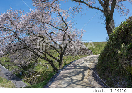 山城 月山富田城 春の道 山城 月山富田城 春の道 54597504