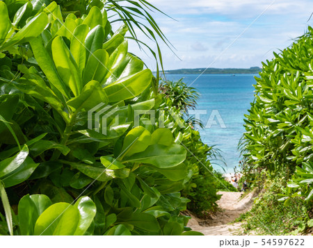 沖縄県 宮古島 砂山ビーチ 54597622