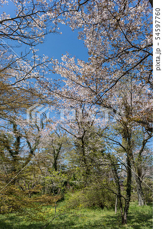 山城　月山富田城から見る風景 54597760