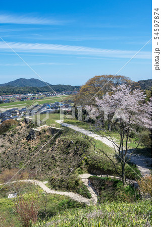 山城　月山富田城　春　 54597874