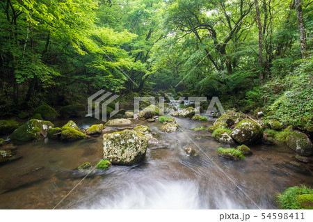 風景 風景 54598411