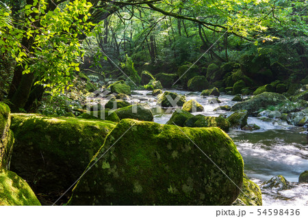 風景 風景 54598436