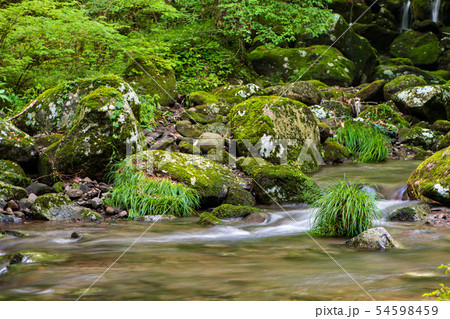 風景 風景 54598459