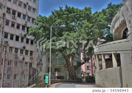 residential Buildings at wan chai , 1 July 2019 residential Buildings at wan chai , 1 July 2019 54598943