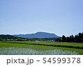 田んぼ　田植え　山　尾神岳　青空 54599378