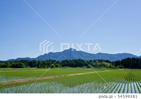 田んぼ　田植え　山　米山　青空 54599381