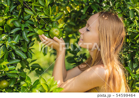 Portrait of Attractive Farmer Woman is Harvesting Orange in Organic Farm, Cheerful Girl in Happiness 54599464