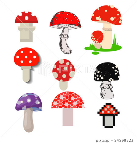 Amanita Mushrooms Dangerous Set Poisonous のイラスト素材