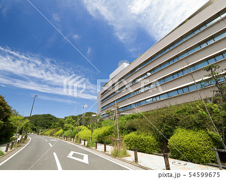 神奈川県　横須賀リサーチパーク 54599675