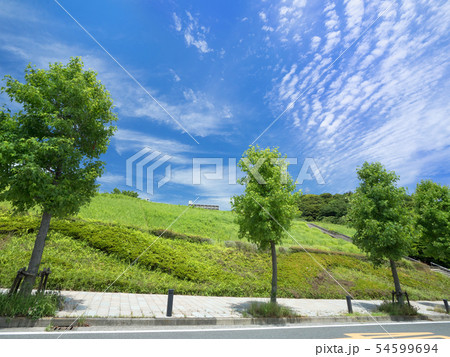 神奈川県　横須賀リサーチパーク 54599694