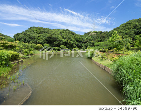 神奈川県　光の丘水辺公園 54599790