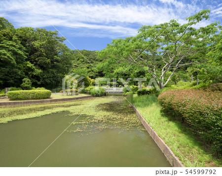 神奈川県　光の丘水辺公園 54599792
