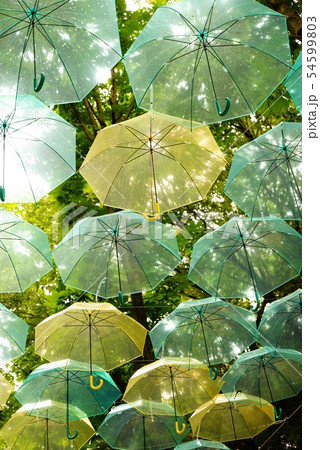 アンブレラ 54599803