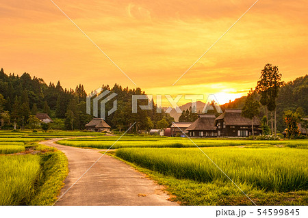 夏の農村風景 (荻ノ島環状集落の夕暮れ) 夏の農村風景 (荻ノ島環状集落の夕暮れ) 54599845