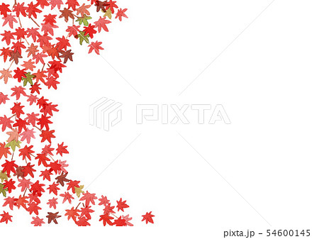 紅葉 水彩背景イラスト 紅葉 水彩背景イラスト 54600145