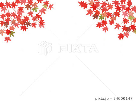 紅葉　水彩背景イラスト 54600147