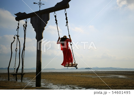 季節 夏 公園 54601495