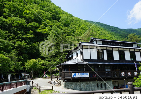 龍泉洞と清水川 龍泉洞と清水川 54601691