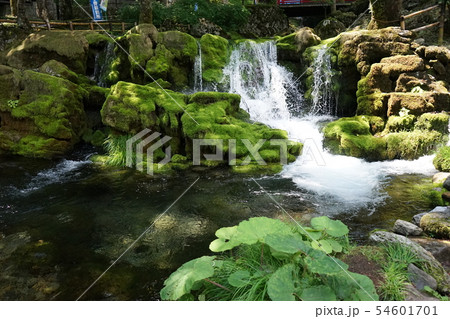 龍泉洞と清水川 龍泉洞と清水川 54601701