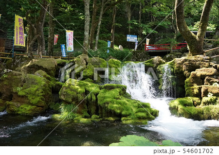 龍泉洞と清水川 54601702