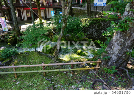 龍泉洞と清水川 54601730