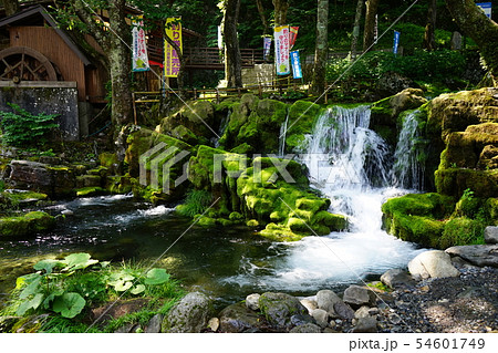龍泉洞と清水川 龍泉洞と清水川 54601749