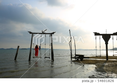 季節 夏 公園 54601826