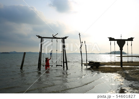 季節 夏 公園 54601827