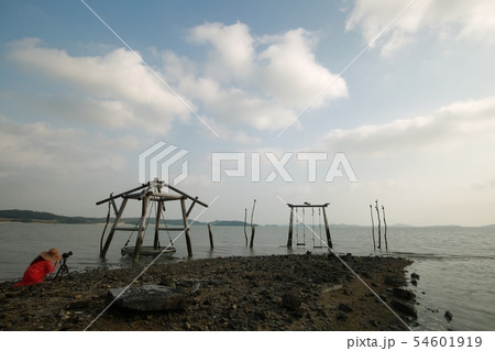 季節 夏 公園 54601919