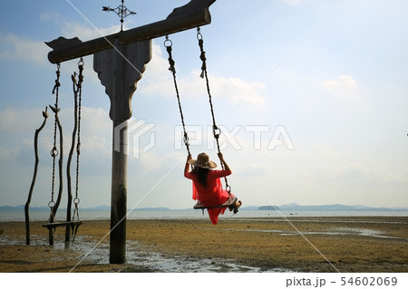 季節 夏 公園 54602069