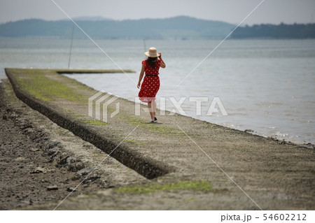 季節 夏 公園 54602212