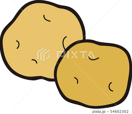 じゃがいも 54602302