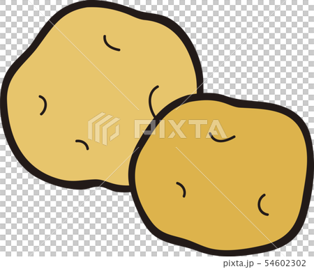 じゃがいも 54602302