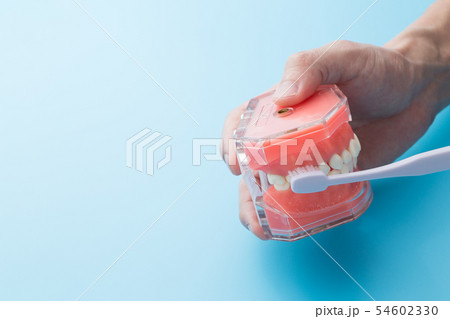 歯磨き指導 54602330