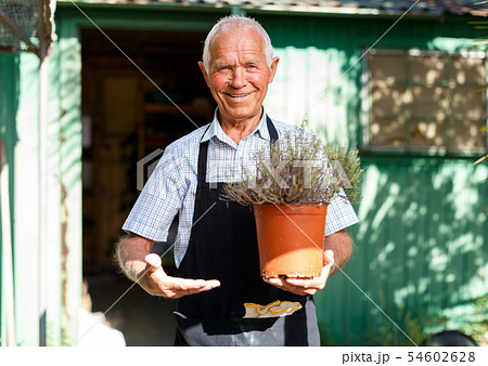 Elderly gardener working 54602628