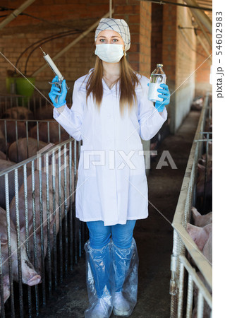 Veterinarian is going to make injection with drug Veterinarian is going to make injection with drug 54602983