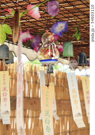 西新井大師 風鈴祭り 西新井大師 風鈴祭り 54603110