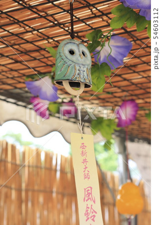 西新井大師　風鈴祭り 54603112