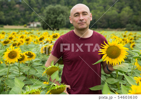 Man in sunflowers field 54603630