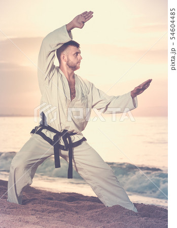 Cheerful guy practising karate kata poses Cheerful guy practising karate kata poses 54604485