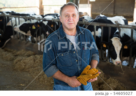 Confident man owner of dairy farm Confident man owner of dairy farm 54605027