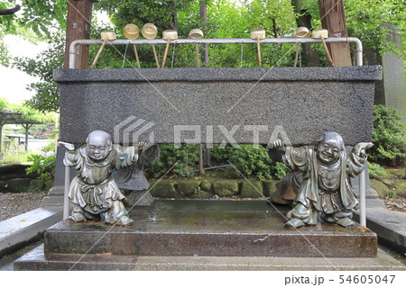 西新井大師　水屋（手水舎） 54605047