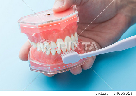 歯磨き指導 歯磨き指導 54605913