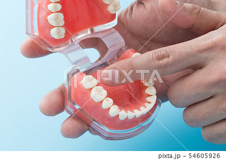 歯科イメージ 54605926