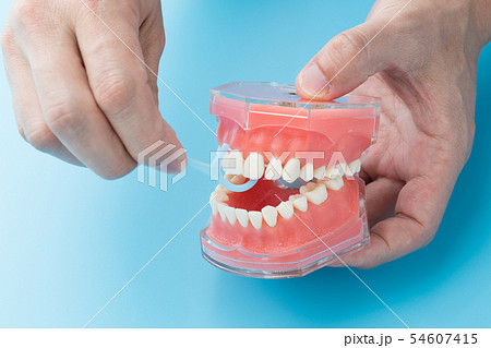 デンタルフロス 54607415