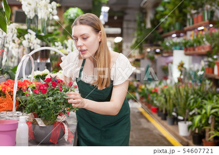Portrait of florist with basket of red roses in flower shop 54607721